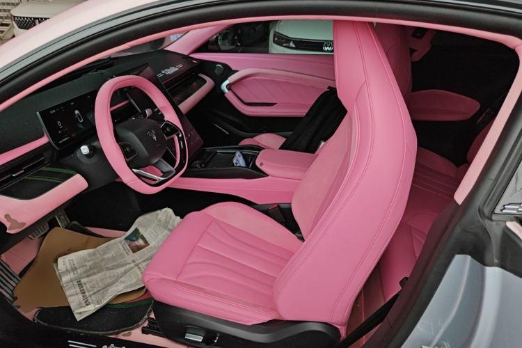 Used NETA GT 2023 560 Left Front Seat
