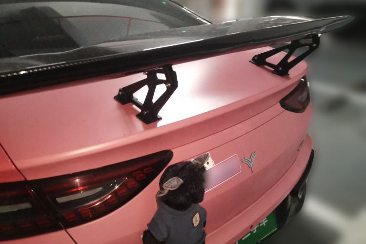 Used NETA GT 2023 660 Trunk