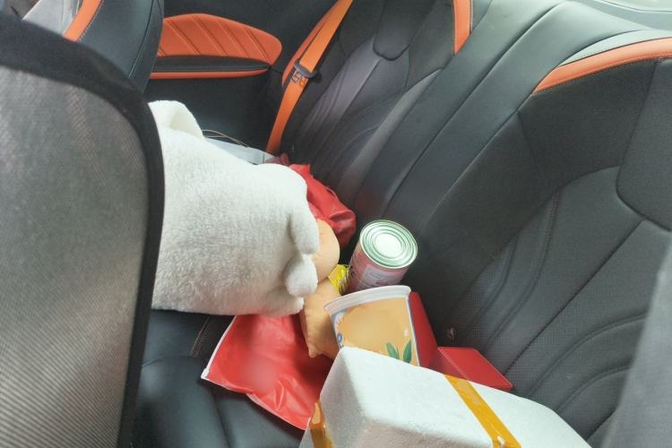 Used NETA GT 2023 660 Left Rear Seat