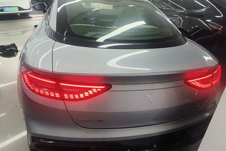 Used NETA GT 2023 560 Rear