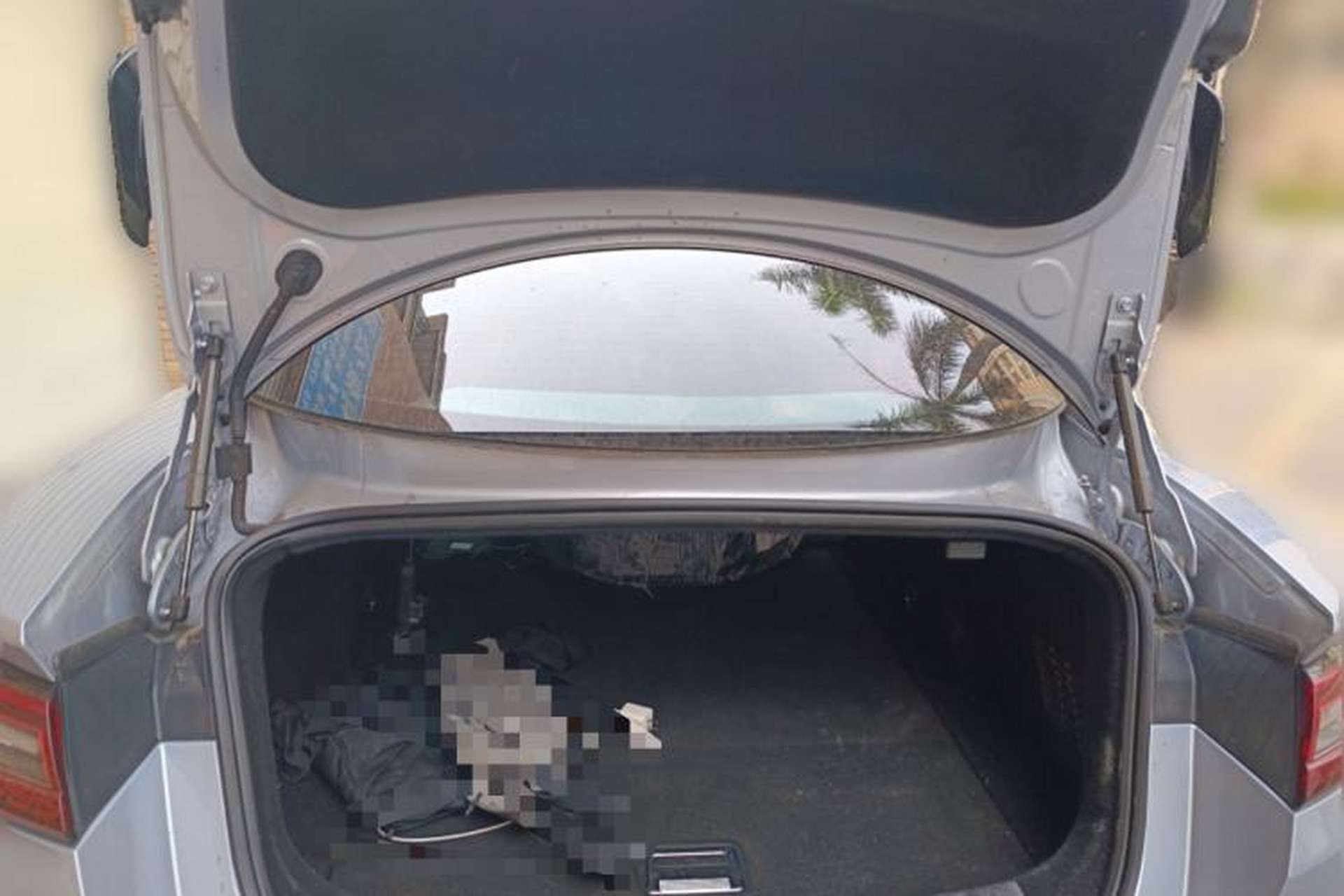 Used NETA GT 2023 660 Trunk