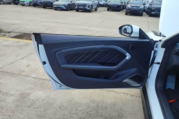 Used NETA GT 2023 560 Left Front Door Interior