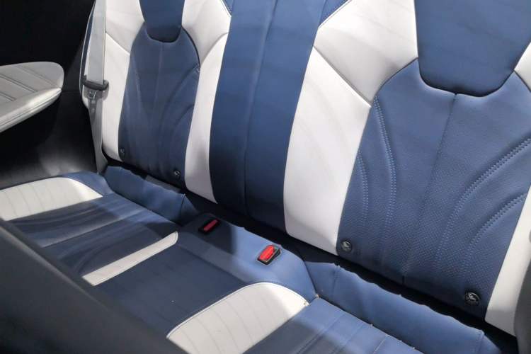 Used NETA GT 2023 580 AWD Left Rear Seat