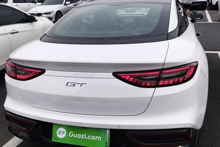 Used NETA GT 2023 560 Rear