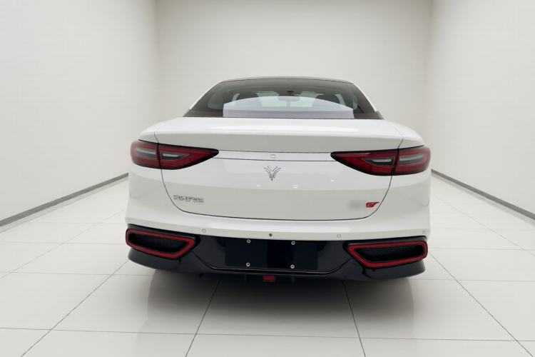 Used NETA GT 2023 560 Rear