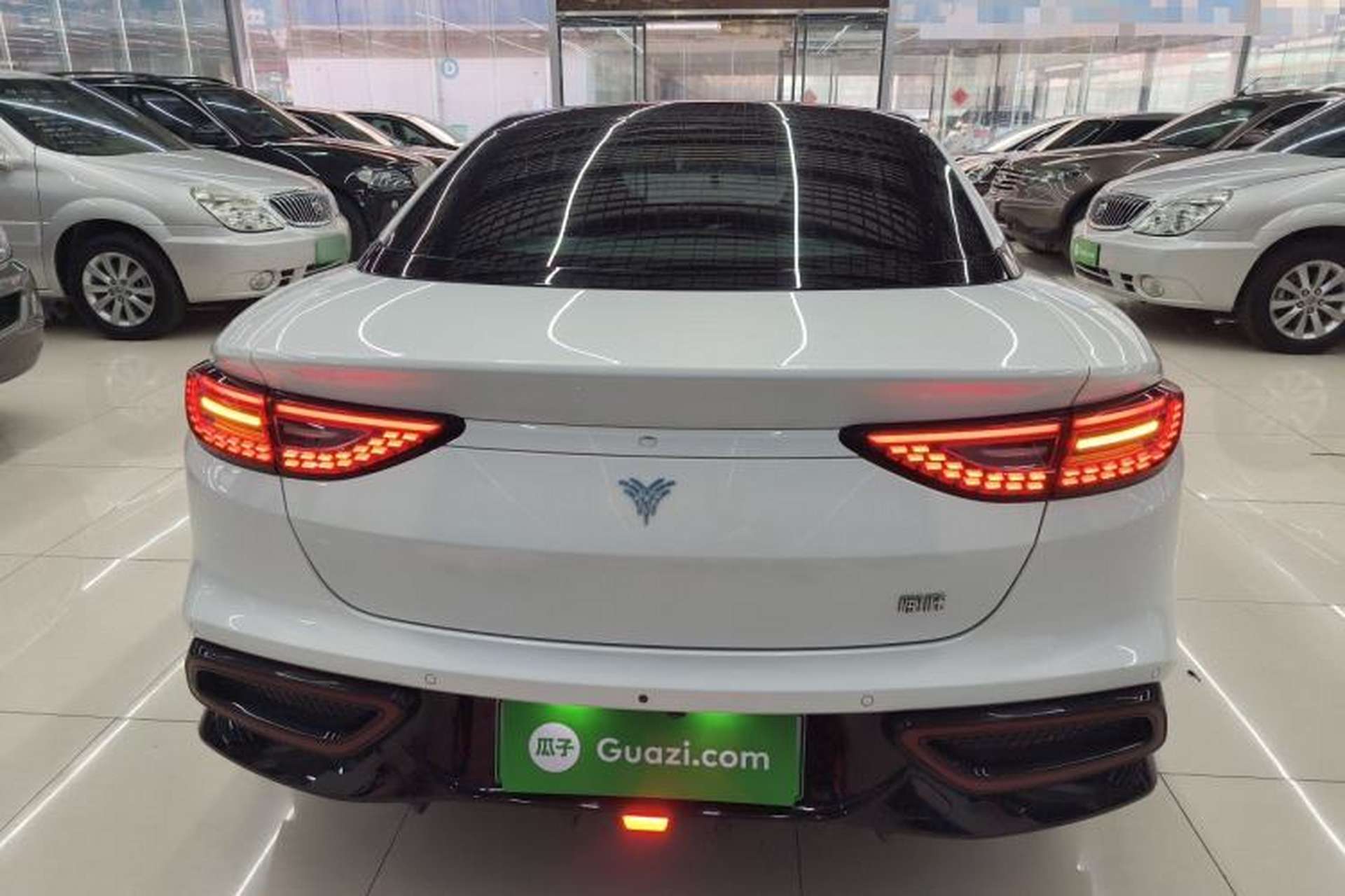 Used NETA GT 2023 560 Rear