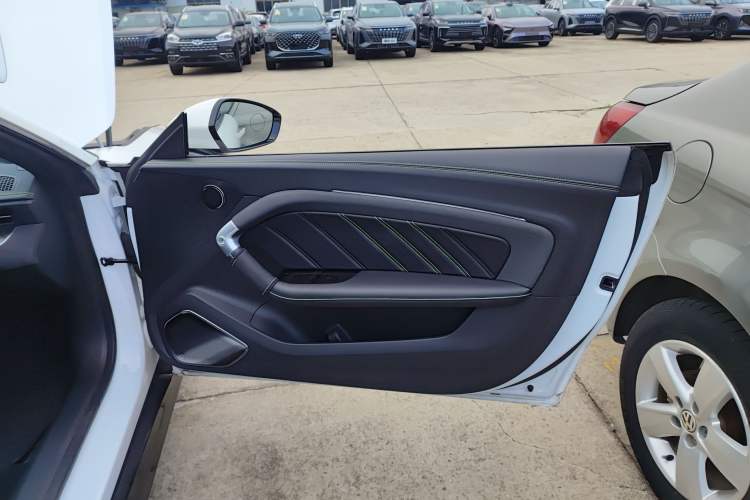 Used NETA GT 2023 560 Right Front Door Interior