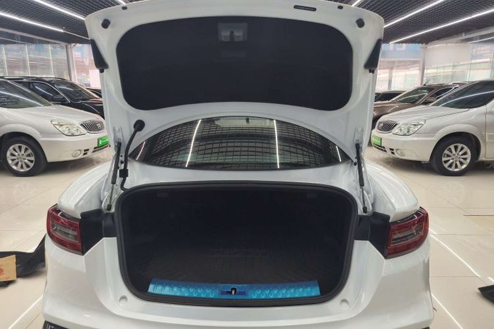 Used NETA GT 2023 560 Trunk