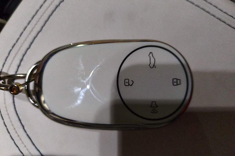 Used NETA GT 2023 580 AWD Vehicle Key