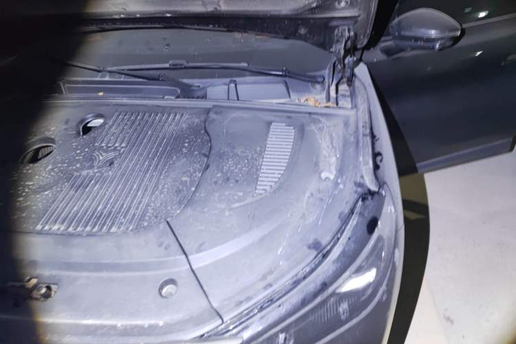 Used NETA L 2024 Extended-Range 310 Flash-Charge Red Edition Engine Bay Left