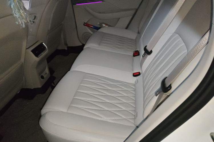 Used NETA L 2024 Extended-Range 310 Flash-Charge Red Edition Left Rear Seat