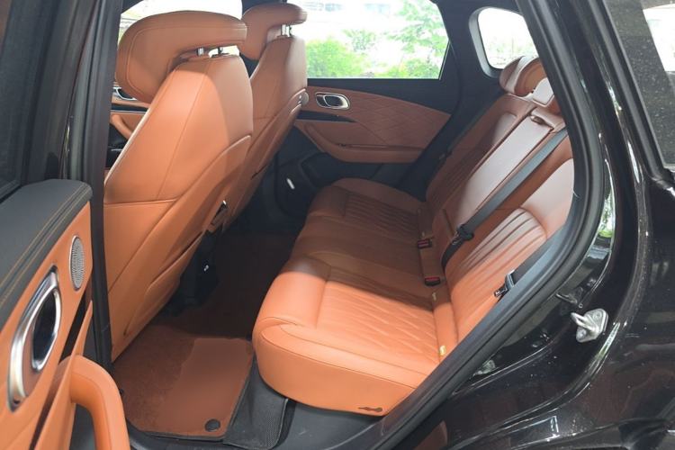 Used NETA L 2024 Extended-Range 220 Flash-Charge Edition Left Rear Seat