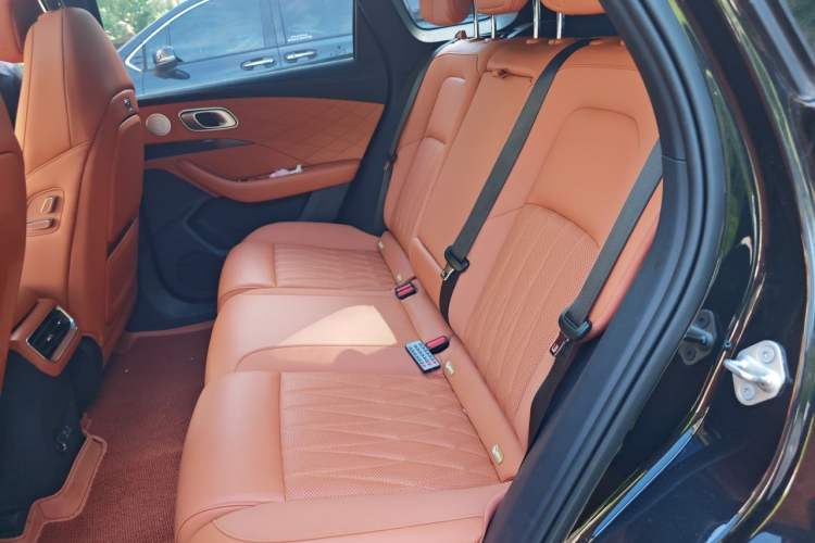 Used NETA L 2024 Pure Electric 510 Flash-Charge Red Edition Left Rear Seat
