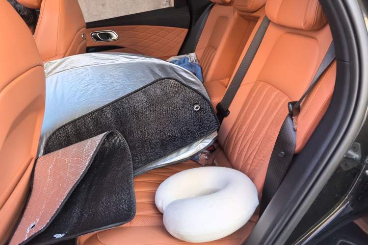 Used NETA L 2024 Extended-Range 310 Flash-Charge Red Edition Left Rear Seat