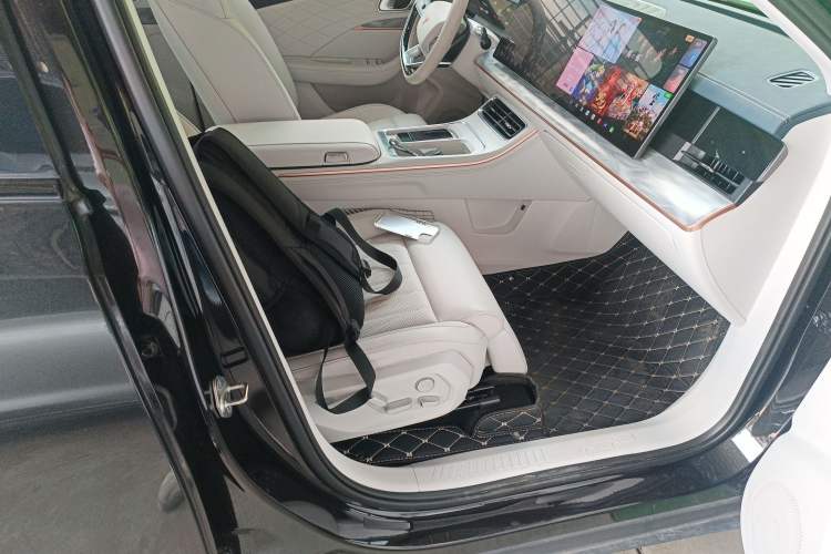 Used NETA L 2024 Range-Extended 220 Luxury Edition Right Front Seat