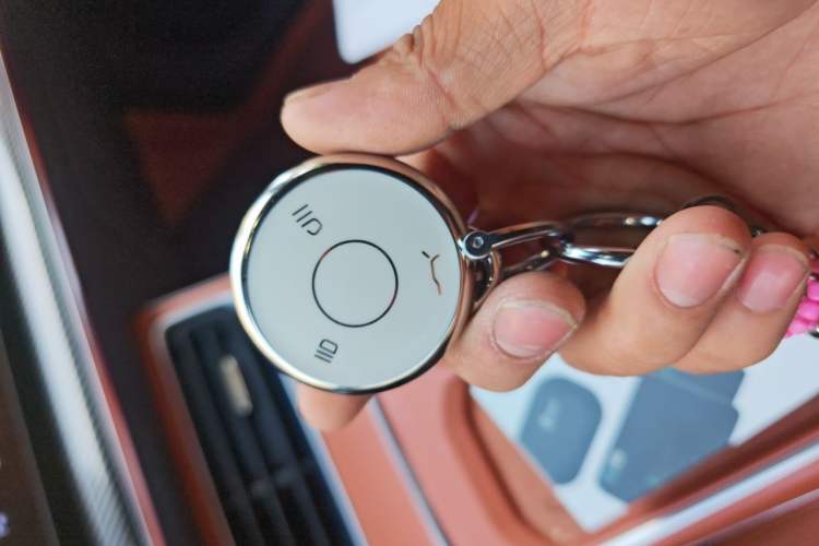 Used NETA L 2024 Pure Electric 510 Flash-Charge Red Edition Vehicle Key
