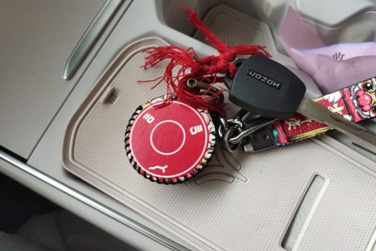 Used NETA L 2024 Extended-Range 310 Flash Charge PRO Edition Vehicle Key
