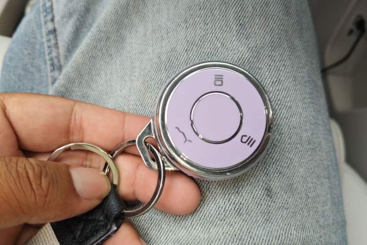 Used NETA L 2024 Extended-Range 310 Flash-Charge Red Edition Vehicle Key