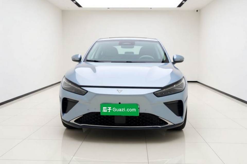 NETA L 2024