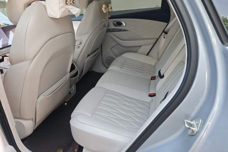Used NETA L 2024 Extended-Range 220 Flash-Charge Edition Left Rear Seat