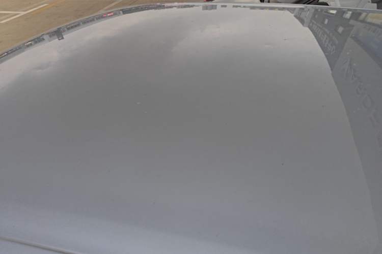 Used NETA L 2024 Extended-Range 310 Flash-Charge Edition Roof