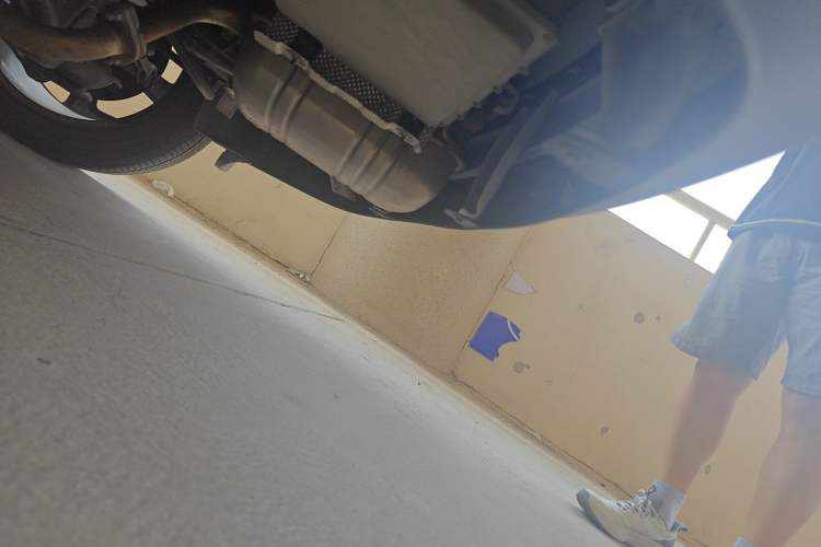 Used NETA L  Chassis Rear Left