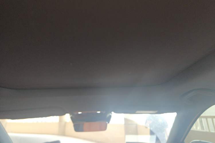 Used NETA L  Headliner