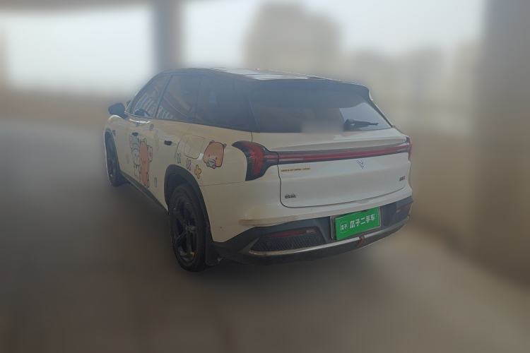 Used NETA L  Rear