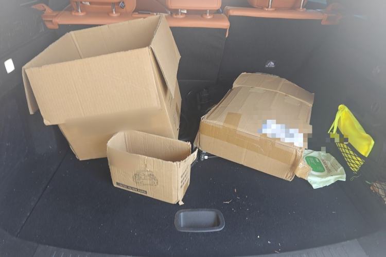 Used NETA L  Trunk