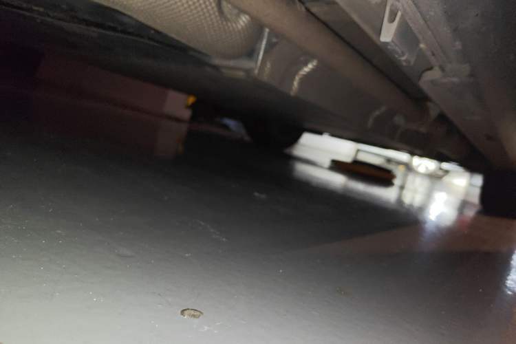 Used NETA L 2024 Extended-Range 310 Flash Charge PRO Edition Chassis Rear Right