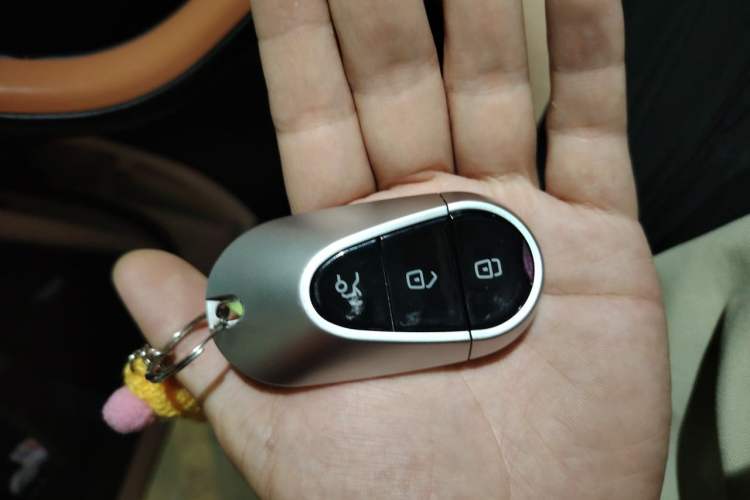 Used NETA L 2024 Extended-Range 310 Flash-Charge Red Edition Vehicle Key