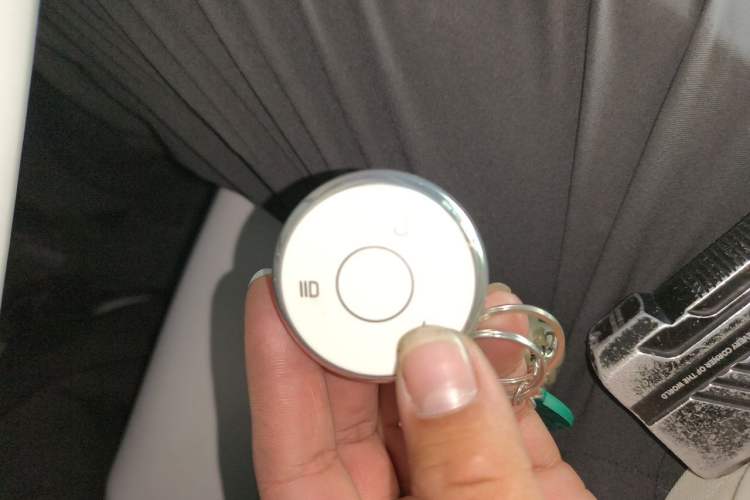 Used NETA L 2024 Extended-Range 310 Flash-Charge Red Edition Vehicle Key