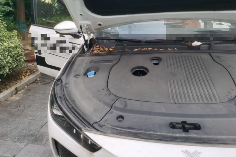 Used NETA L 2024 Extended-Range 310 Flash-Charge Red Edition Engine Bay Right