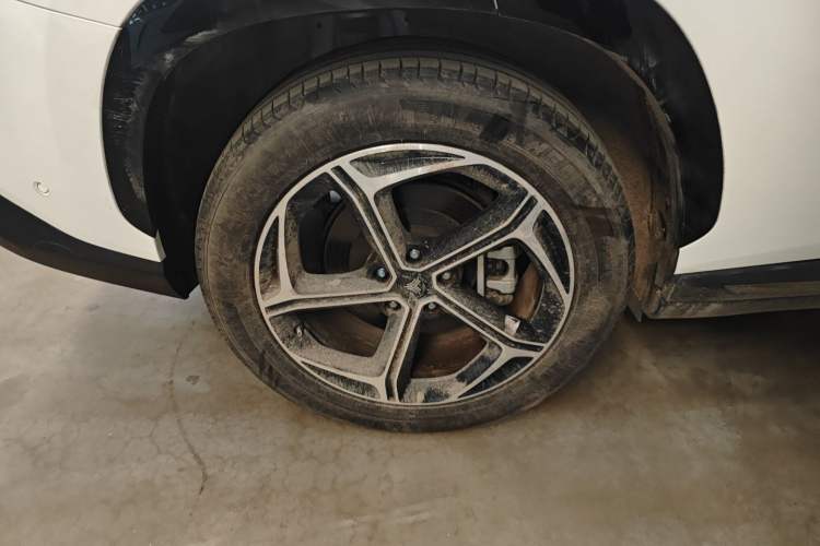 Used NETA L 2024 Extended-Range 220 PRO+ Family Package Exterior 3