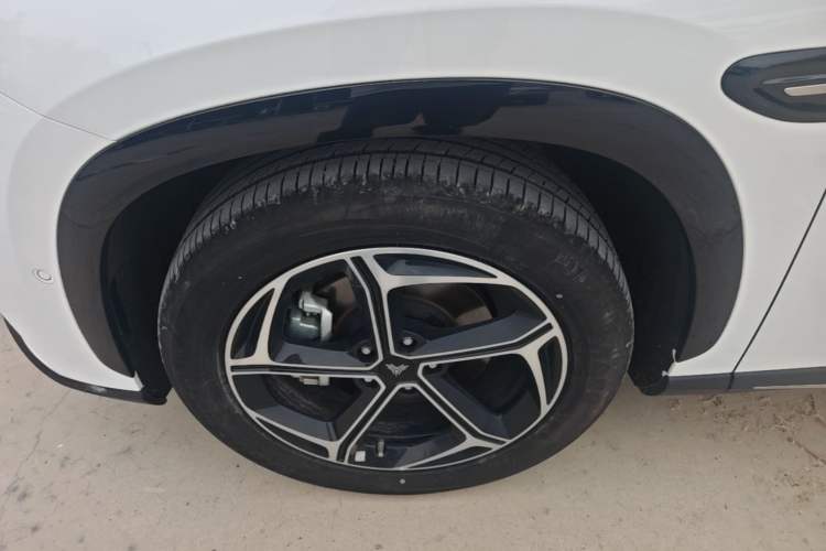 Used NETA L 2024 Extended-Range 310 Flash-Charge Red Edition Exterior 4