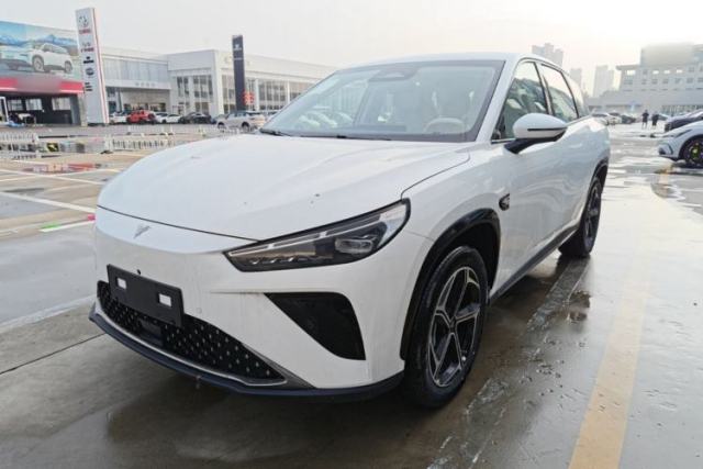 Used NETA L 2024 Extended-Range 310 Flash-Charge Edition