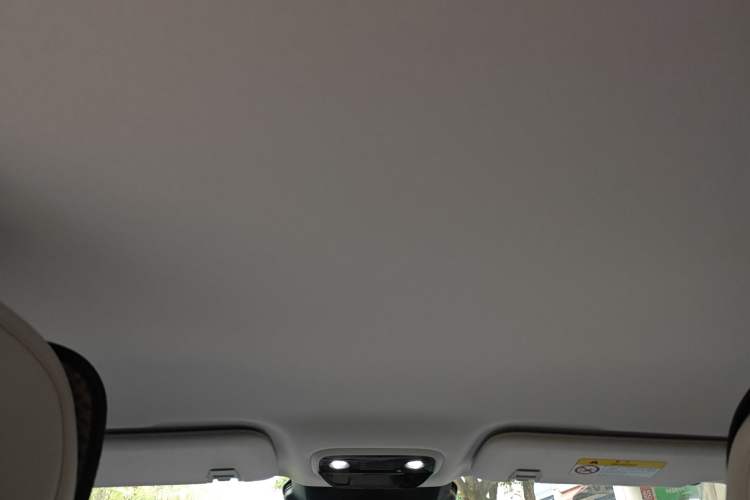 Used NETA L 2024 Extended-Range 310 Flash-Charge Edition Headliner