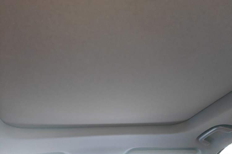 Used NETA L 2024 Extended-Range 310 Flash-Charge Red Edition Headliner