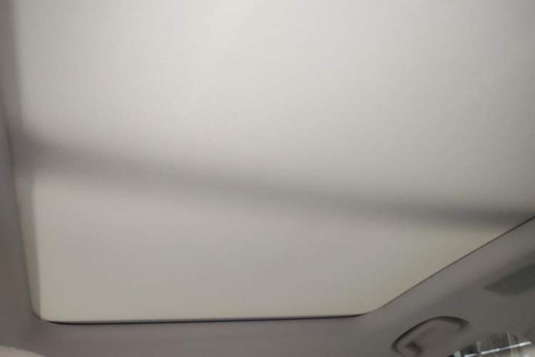 Used NETA L 2024 Extended-Range 310 Flash Charge PRO Edition Headliner