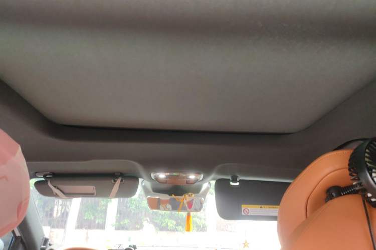 Used NETA L 2024 Extended-Range 220 Flash-Charge Edition Headliner