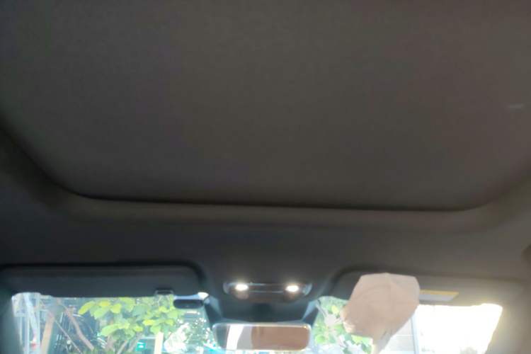 Used NETA L 2024 Extended-Range 310 Flash-Charge Red Edition Headliner