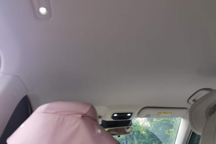 Used NETA L 2024 Extended-Range 310 Flash-Charge Edition Headliner