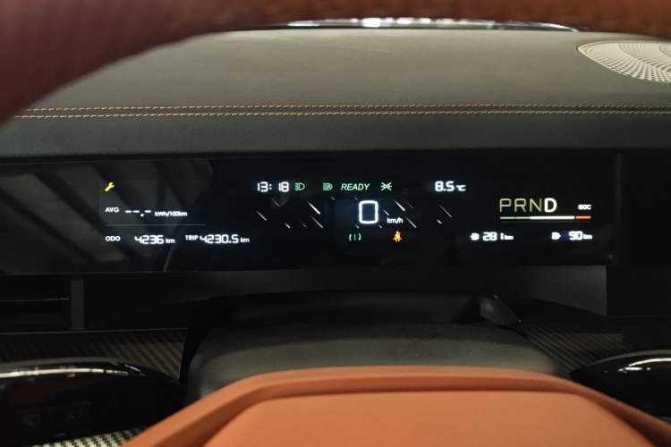 Used NETA L 2024 Extended-Range 220 PRO+ Family Package Instrument Cluster