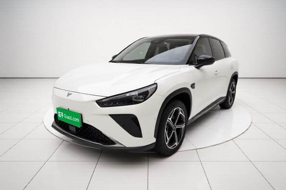 NETA L 2024