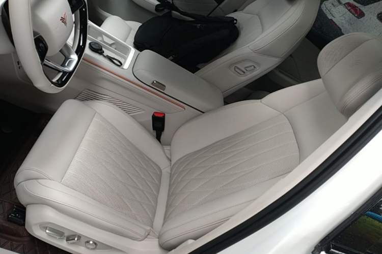 Used NETA L 2024 Extended-Range 310 Flash-Charge Red Edition Left Front Seat