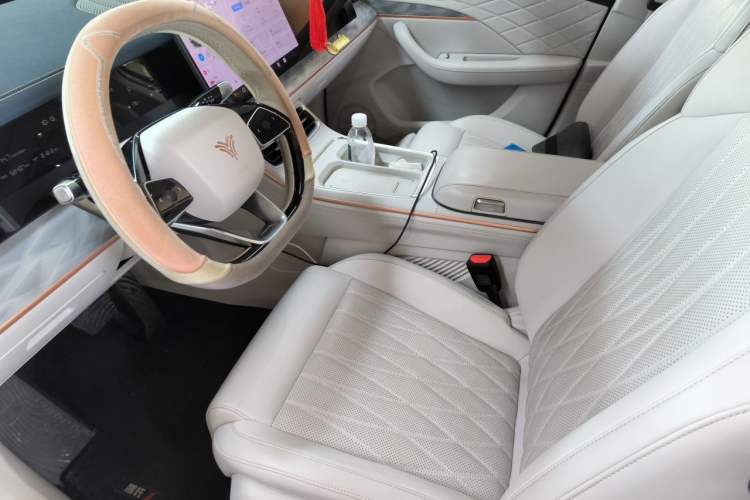 Used NETA L 2024 Extended-Range 310 Flash-Charge Red Edition Left Front Seat