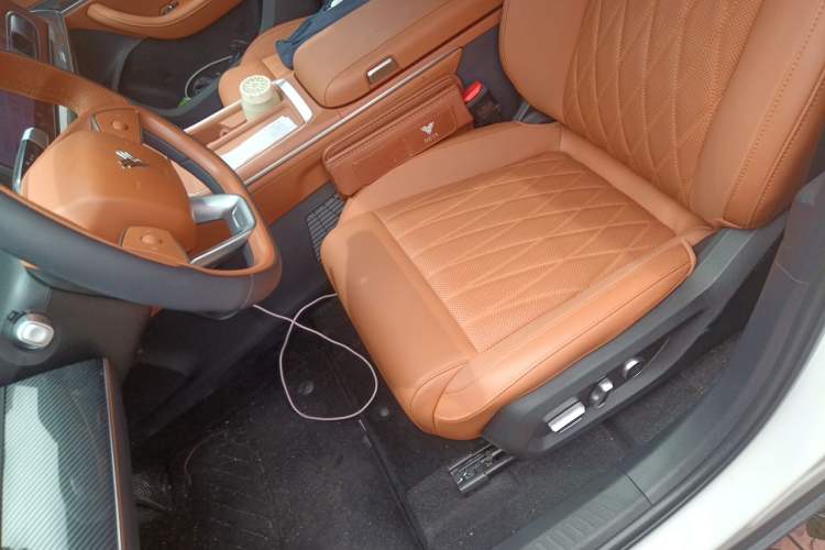 Used NETA L 2024 Extended-Range 310 Flash-Charge Red Edition Left Front Seat