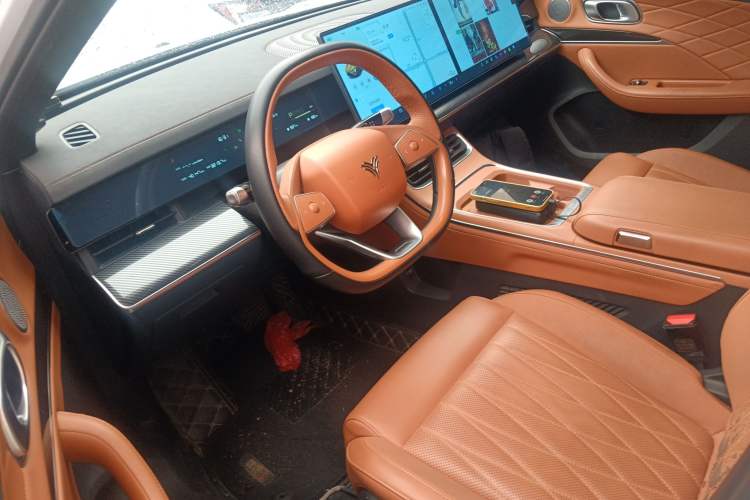 Used NETA L 2024 Range-Extended 220 Luxury Edition Left Front Seat