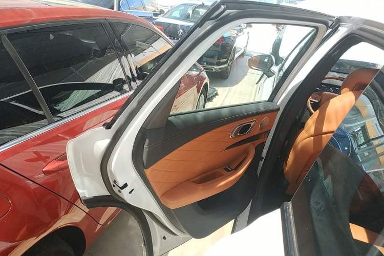 Used NETA L 2024 Extended-Range 220 PRO+ Family Package Left Rear Door Interior
