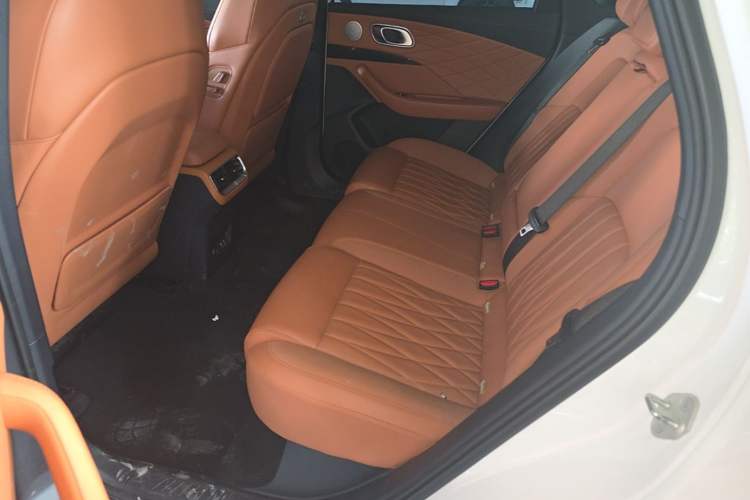 Used NETA L 2024 Extended-Range 220 Flash-Charge Edition Left Rear Seat